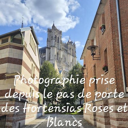 אמיינס Les Hortensias Blancs Studio מראה חיצוני תמונה