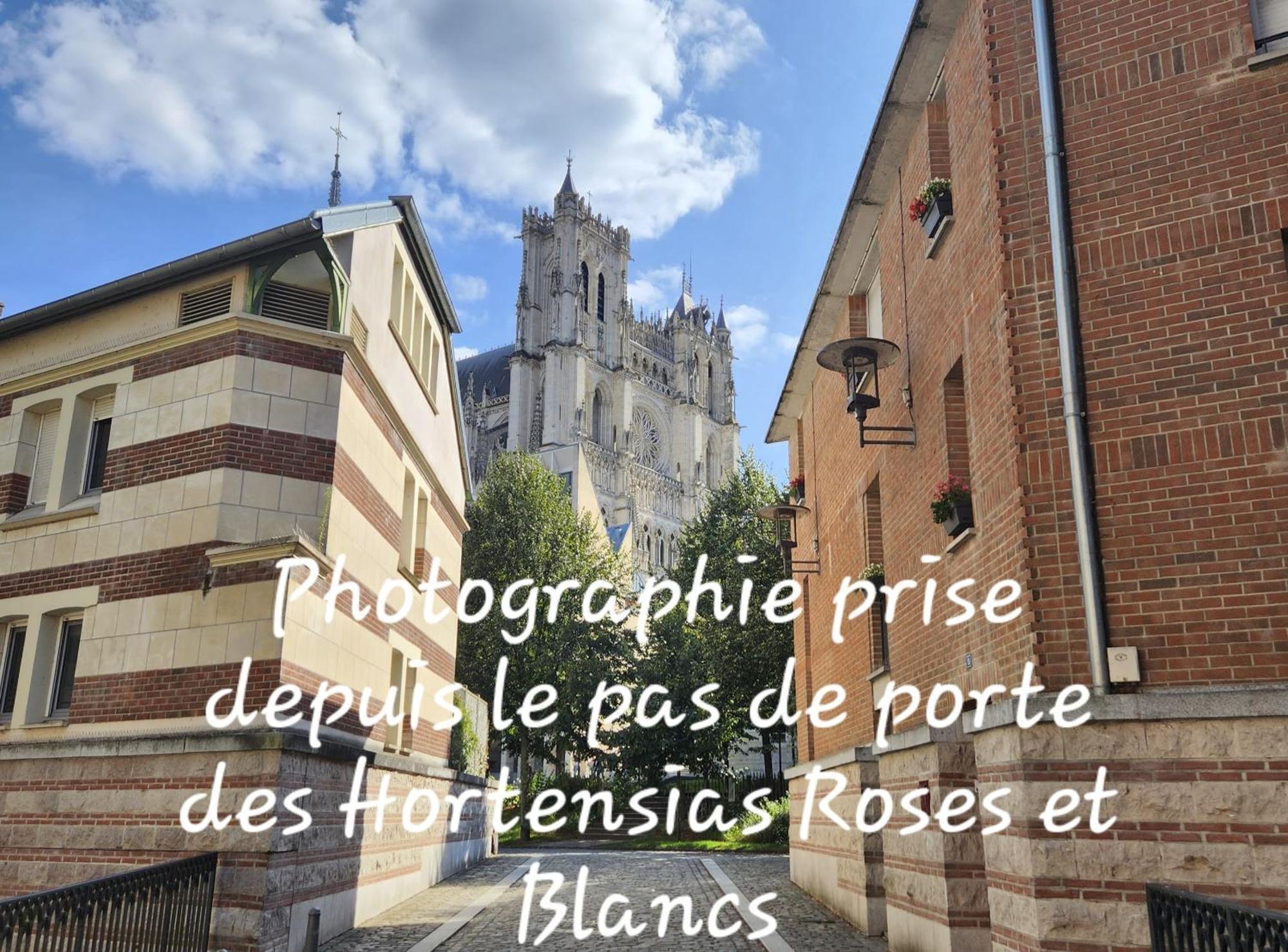 אמיינס Les Hortensias Blancs Studio מראה חיצוני תמונה